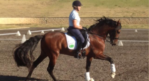 Rider training