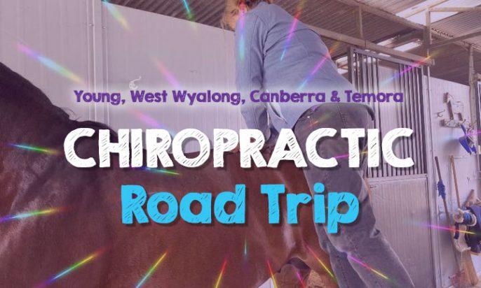 Chiropractic Road Trip